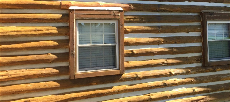 Log Home Whole Log Replacement  Davenport, Virginia