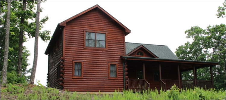 Professional Log Home Borate Application  Davenport, Virginia